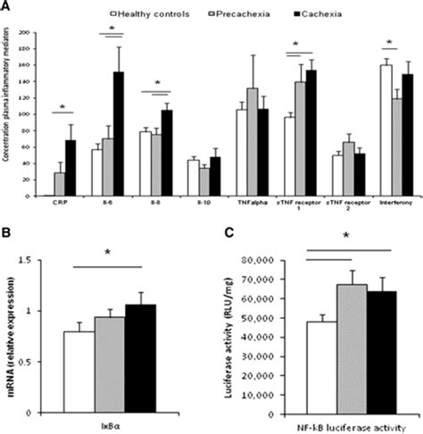 Nuclear transcription factor κ B activation and protein turnover 